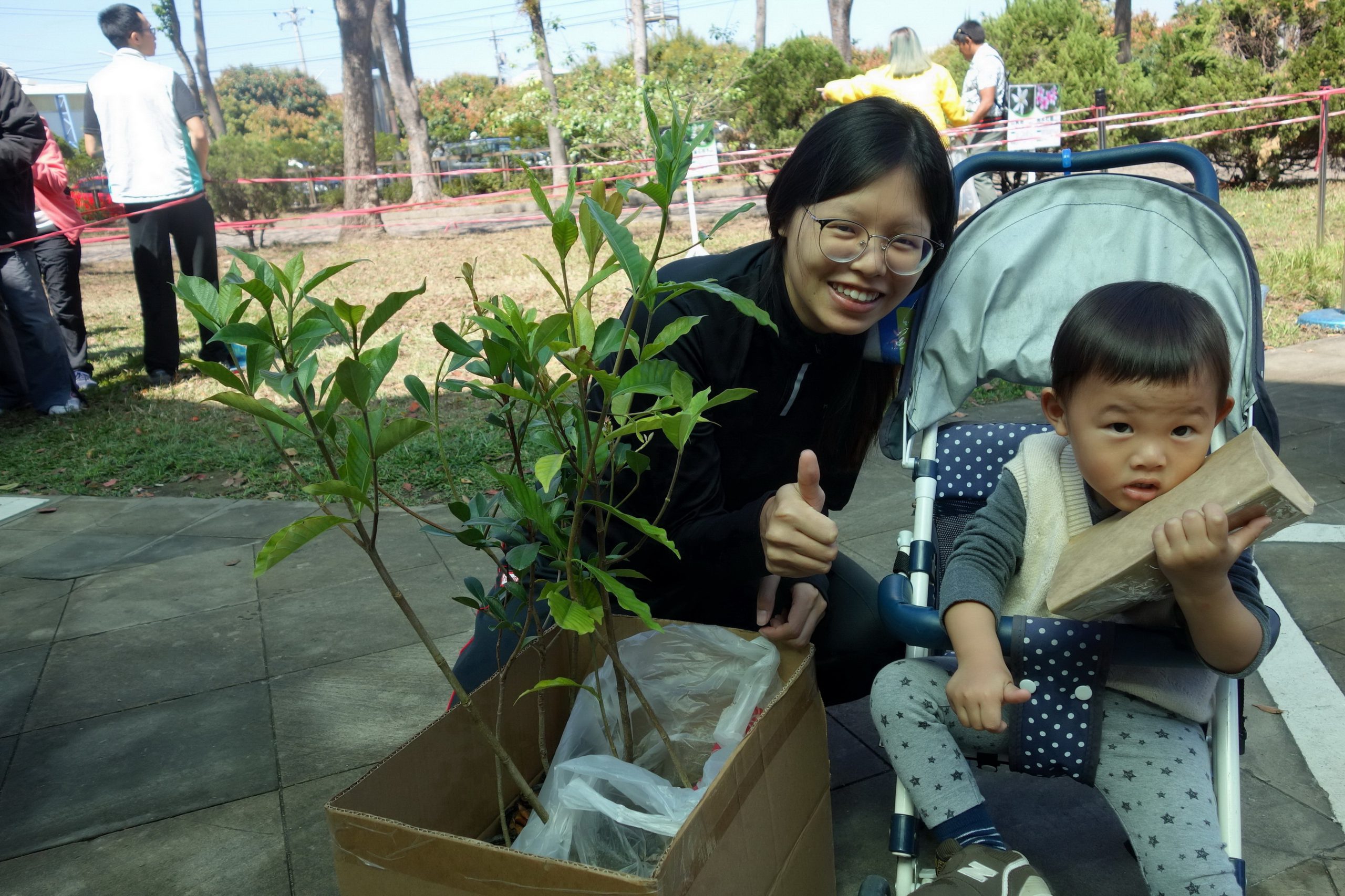 原生花苗吸睛 南投分署公開民眾領苗喜好